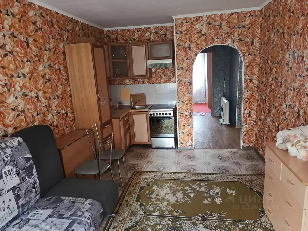 1-к кв. Красноярский край, Красноярск ул. Гусарова, 33 (33.0 м) - Фото 1