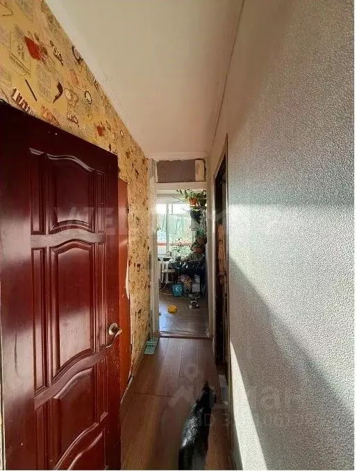 2-к кв. Москва Чертановская ул., 20К1 (37.7 м) - Фото 2