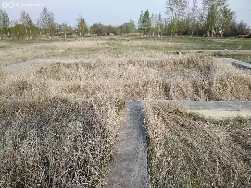 Участок в Омская область, рабочий посёлок Таврическое, улица Карбышева ... - Фото 1