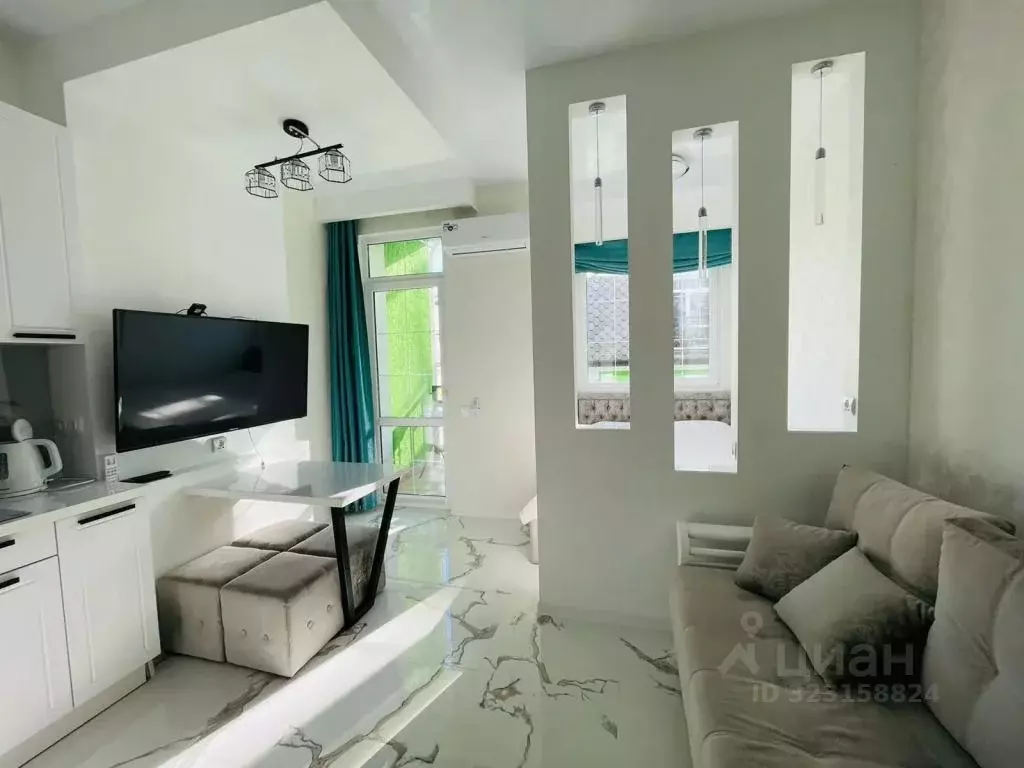 1-к кв. Краснодарский край, Сочи Сириус пгт,  (28.0 м) - Фото 1