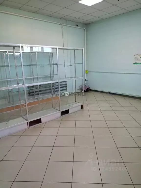 Помещение свободного назначения в Алтайский край, Топчихинский район, ... - Фото 2