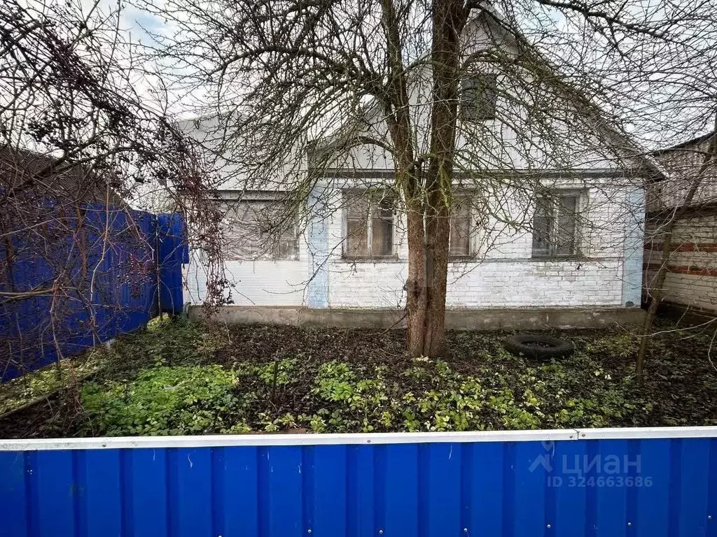 Дом в Белгородская область, Яковлевский муниципальный округ, Яковлево ... - Фото 1
