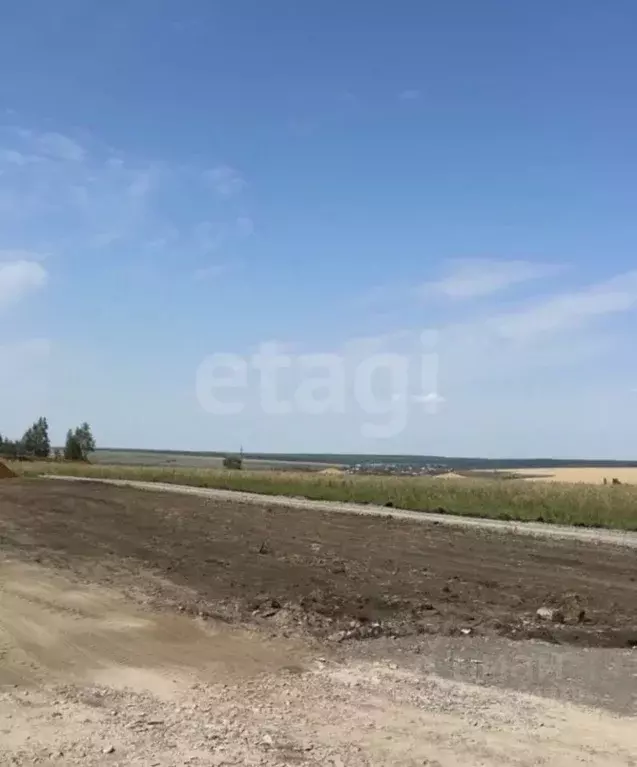 Участок в Мордовия, Лямбирский район, Берсеневское с/пос, Альтерра кп  ... - Фото 1