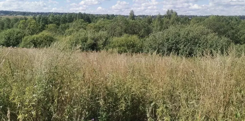 Участок в Московская область, Истра  (14.52 сот.) - Фото 1