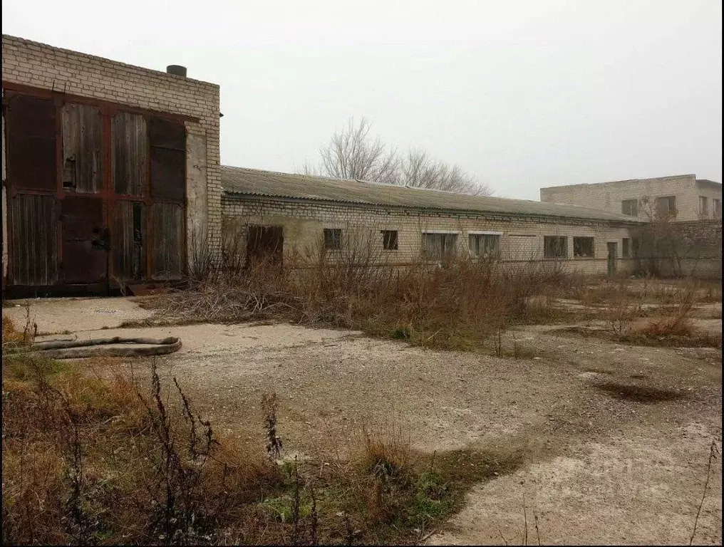 Помещение свободного назначения в Белгородская область, ... - Фото 1
