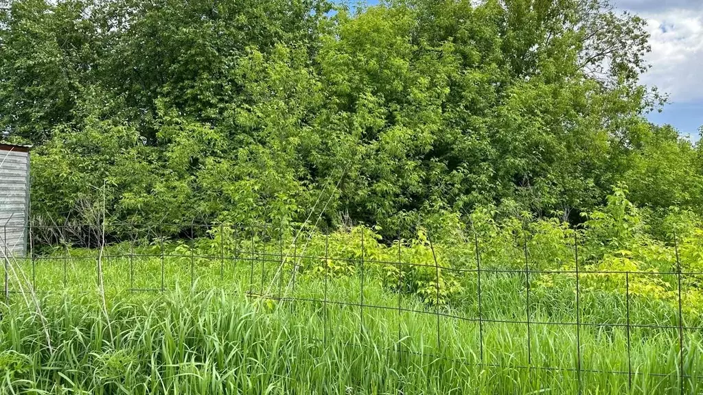 Участок в Алтайский край, Барнаул городской округ, с. Власиха ул. ... - Фото 2