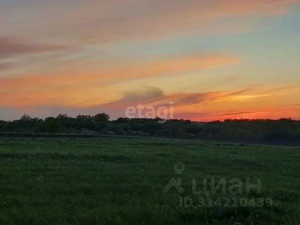 Участок в Курская область, Курский район, Нижнемедведицкий сельсовет, ... - Фото 0