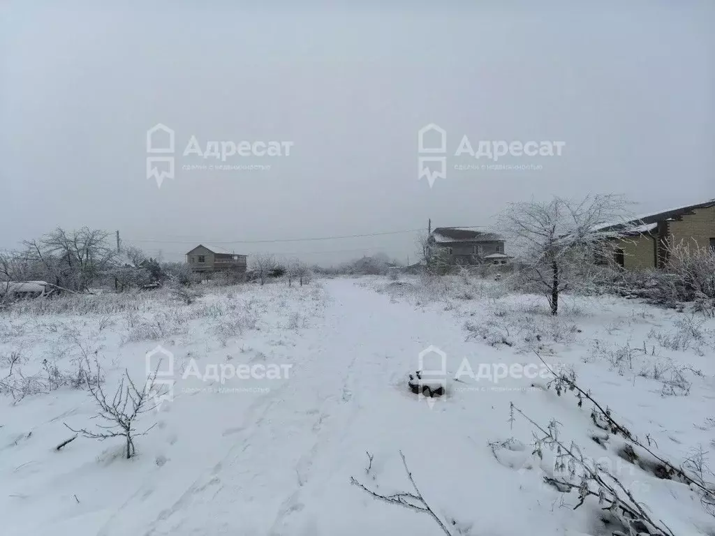 Участок в Волгоградская область, Городищенский район, Царицынское ... - Фото 1