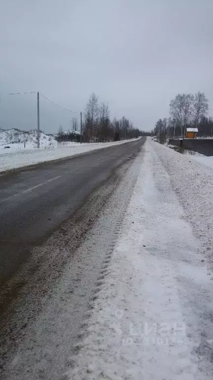 Участок в Новгородская область, Новгородский район, Савинское с/пос, ... - Фото 0