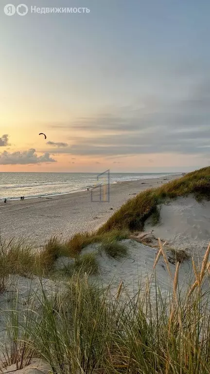 Участок в Раздольненский район, Славновское сельское поселение, село ... - Фото 1