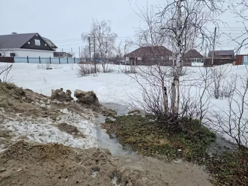 Участок в Ямало-Ненецкий АО, Новый Уренгой Дружба ДНТ, проезд 1-й ... - Фото 0