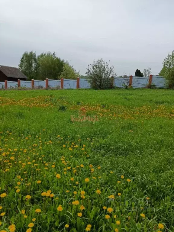 Участок в Московская область, Дмитровский муниципальный округ, д. ... - Фото 1