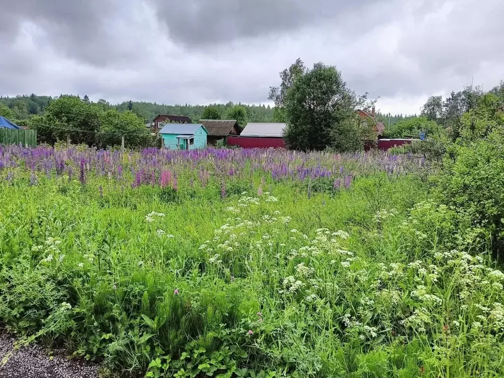 Участок в Московская область, Можайский городской округ, Холмец СНТ  ... - Фото 1