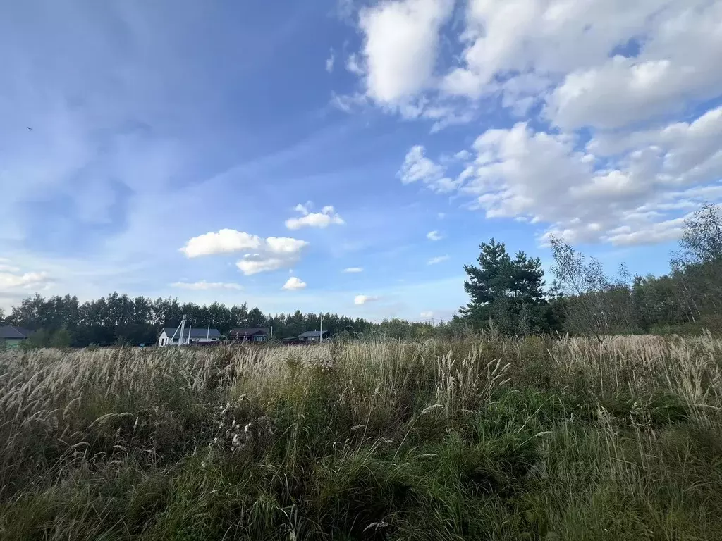Участок в Московская область, Богородский городской округ, Новое ... - Фото 1