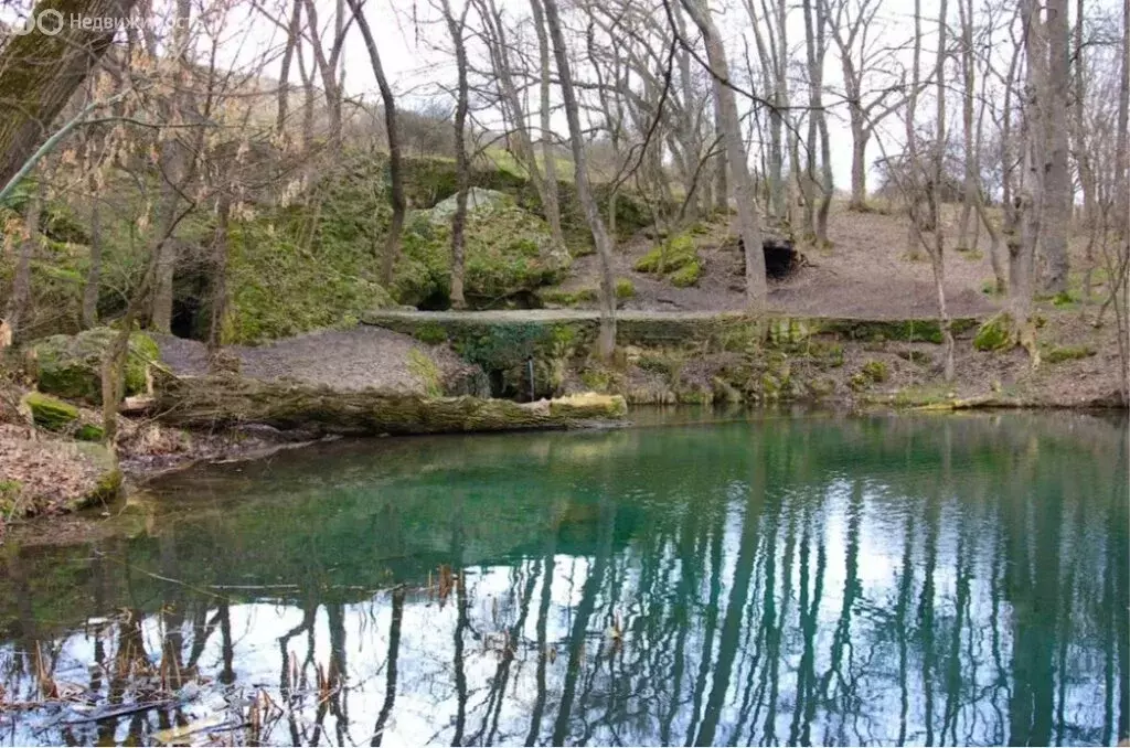 Участок в Лекарственное, Ботаническая улица (12 м) - Фото 1