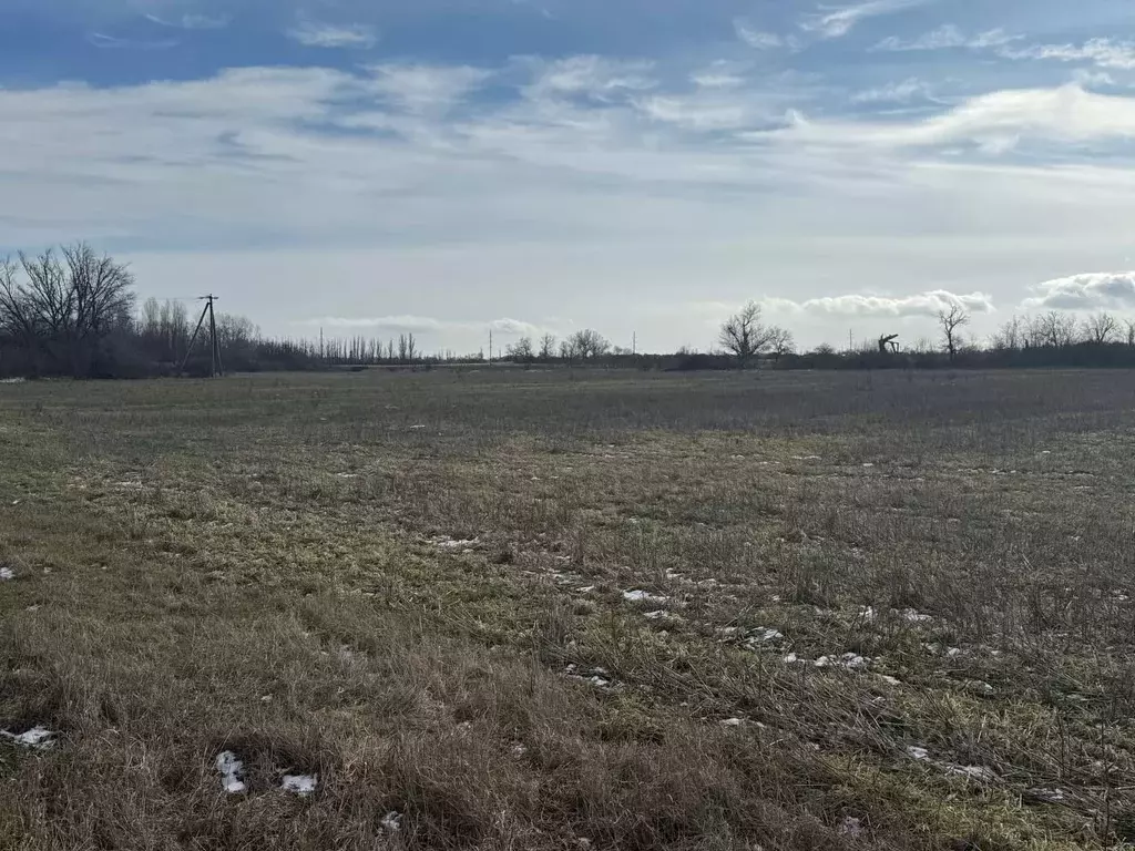 Участок в Крым, Сакский район, Суворовское с/пос, с. Желтокаменка  ... - Фото 1