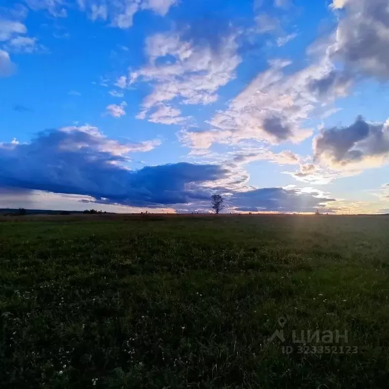 Участок в Мордовия, Лямбирский район, Берсеневское с/пос, д. Старая ... - Фото 2