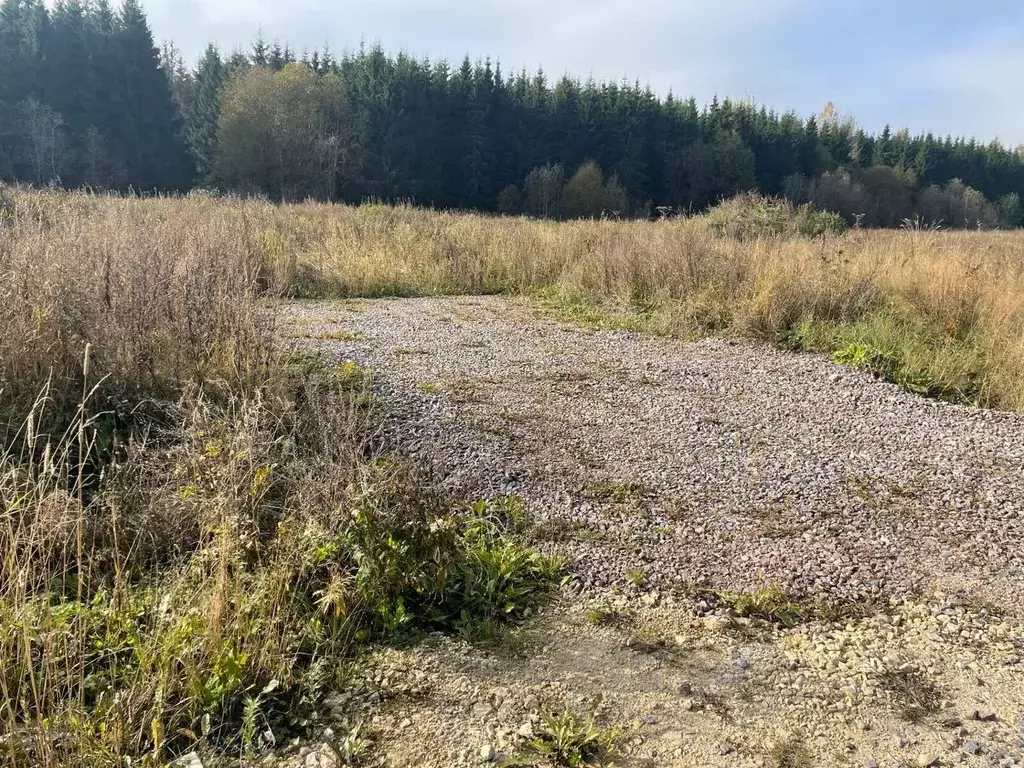 Участок в Ленинградская область, Ломоносовский район, Гостилицкое ... - Фото 1
