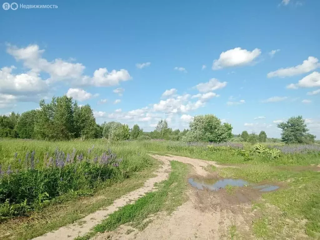 Участок в Ковровский район, муниципальное образование Малыгинское, ... - Фото 1