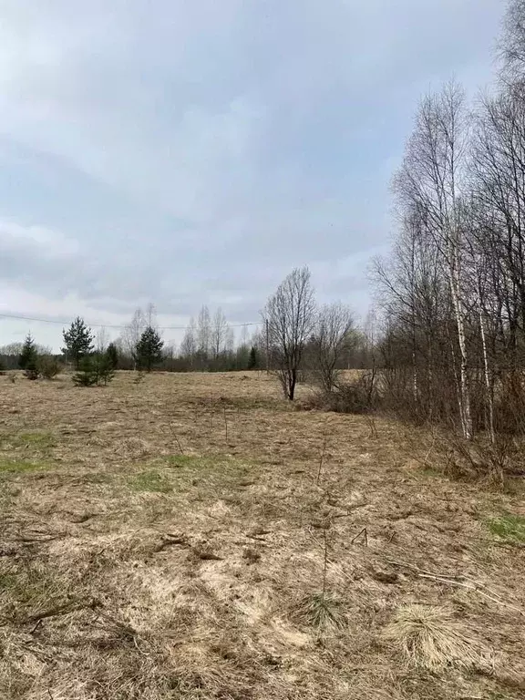 Дом в Новгородская область, Валдайский район, Рощинское с/пос, д. ... - Фото 1