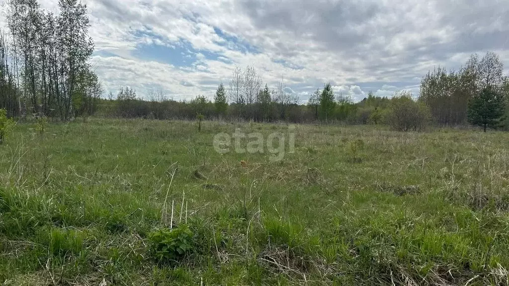 Дом в Тюменский район, СНТ Черёмушки-2 (45 м) - Фото 0