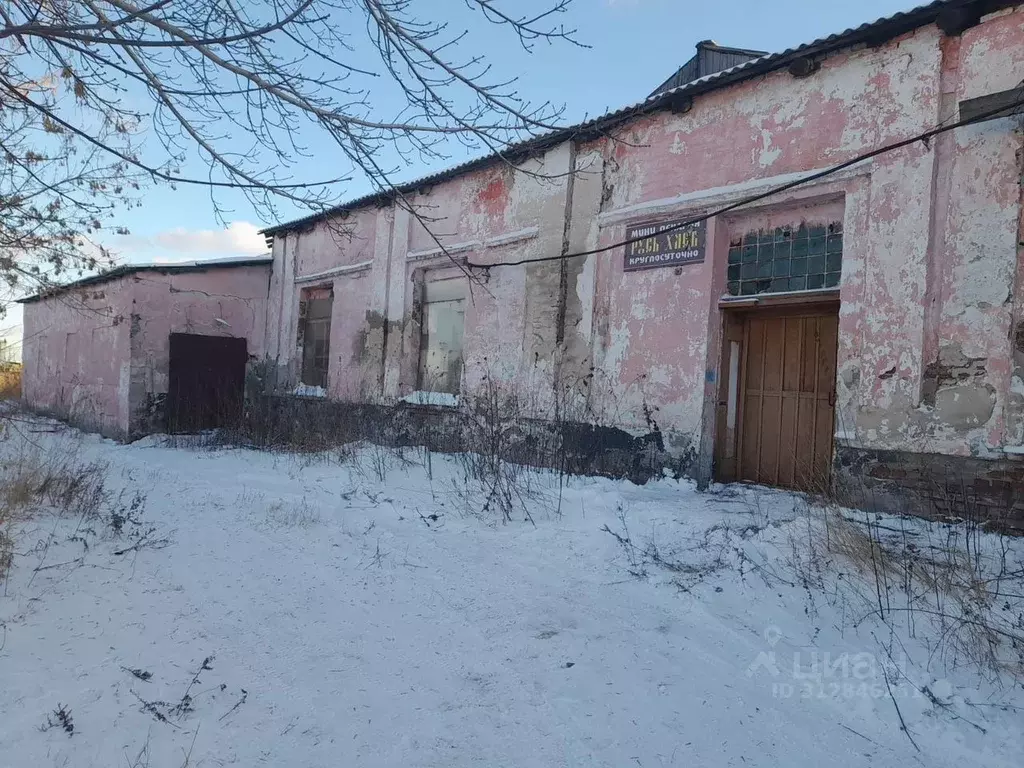 Помещение свободного назначения в Новосибирская область, Барабинск ул. ... - Фото 0