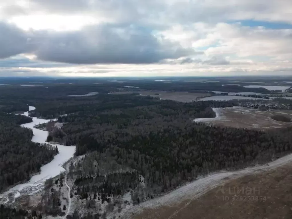Участок в Калужская область, Боровский муниципальный округ, ... - Фото 2