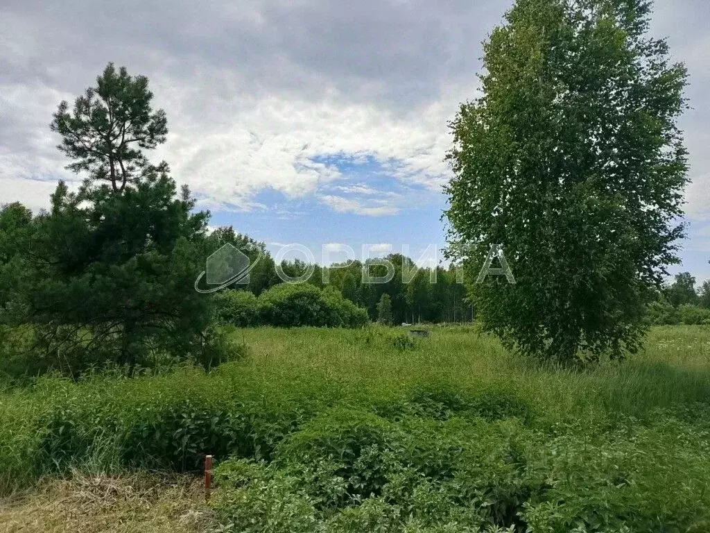 Участок в Тюменская область, Нижнетавдинский муниципальный округ, ... - Фото 2