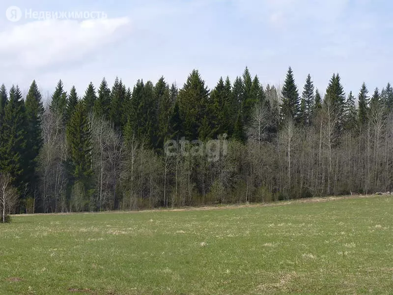 Купить Участок В Пермском Районе Ижс