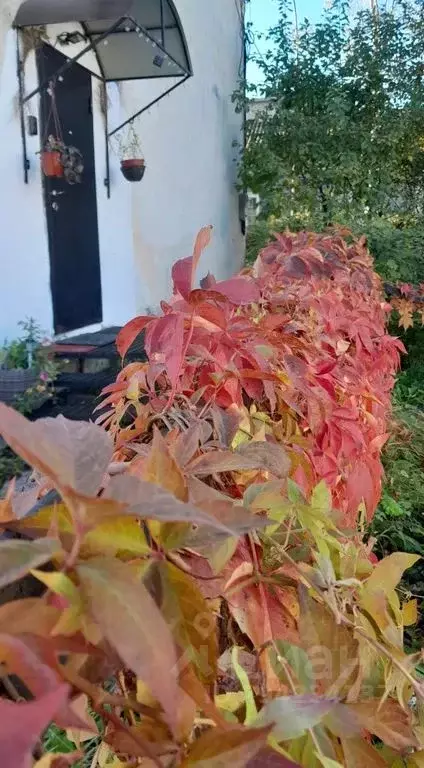 1-к кв. Карелия, Сортавала ул. 40 лет ВЛКСМ, 18 (38.0 м) - Фото 2