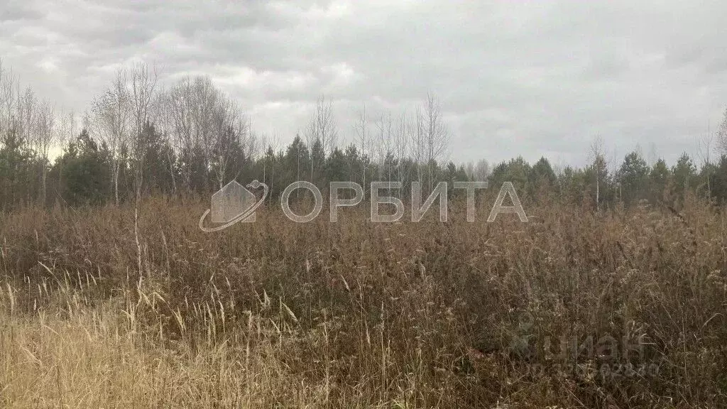 Участок в Тюменская область, Нижнетавдинский район, Геолог-2 СНТ  (9.2 ... - Фото 0
