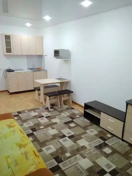 Студия Красноярский край, Красноярск ул. Карамзина, 8 (27.0 м) - Фото 1