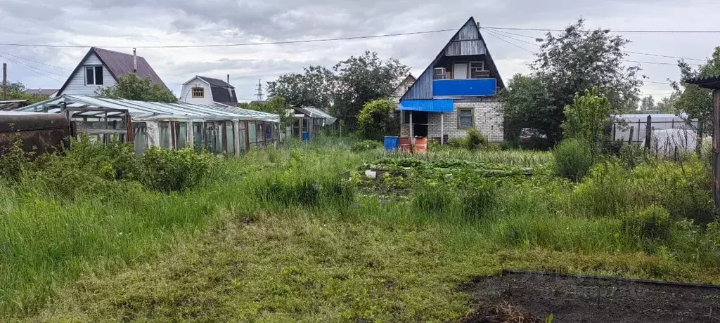 Дом в Брянская область, Брянск Железнодородник СНТ, ул. Сиреневая (51 ... - Фото 0