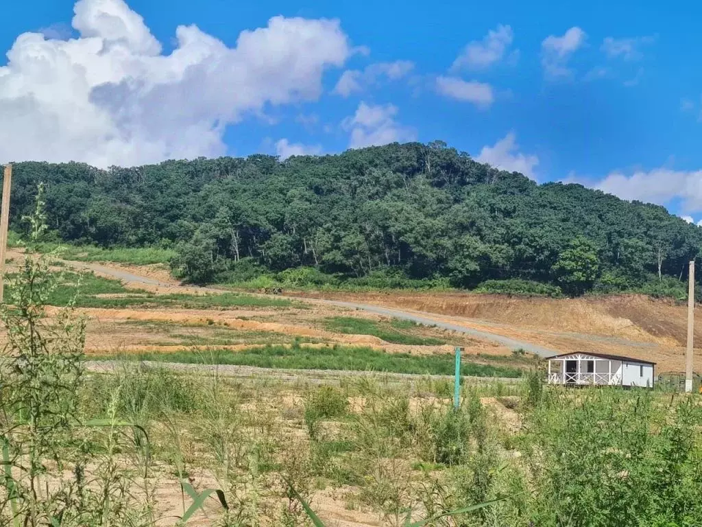 Участок в Приморский край, Партизанский муниципальный округ, Радово ... - Фото 1
