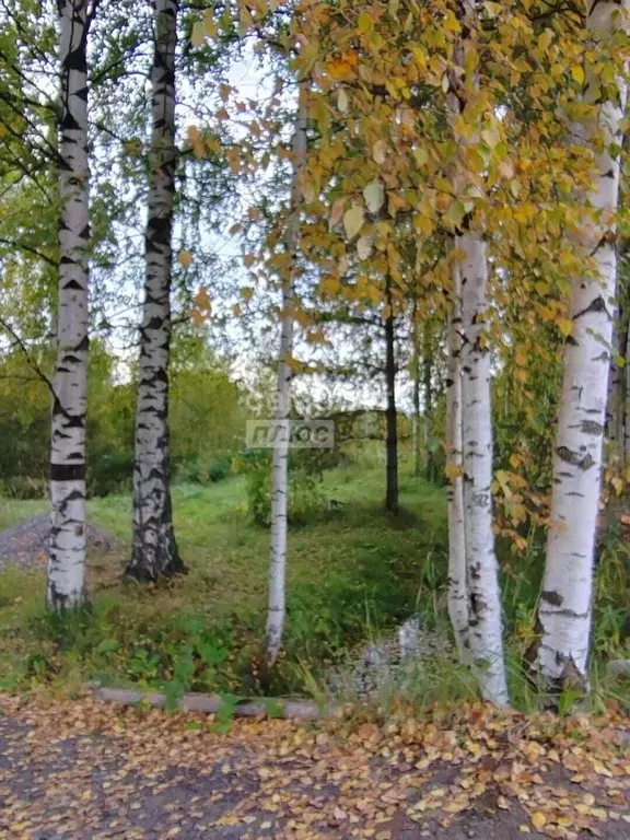 Участок в Вологодская область, Вологда Граничная ул. (15.0 сот.) - Фото 1