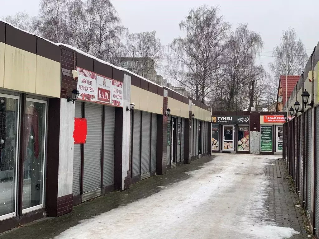 Торговая площадь в Калининградская область, Светлогорск Пионерская ... - Фото 2