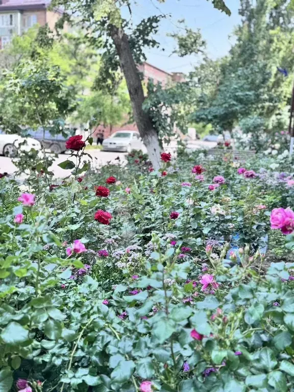 1-к. квартира, 36 м, 2/5 эт. - Фото 0