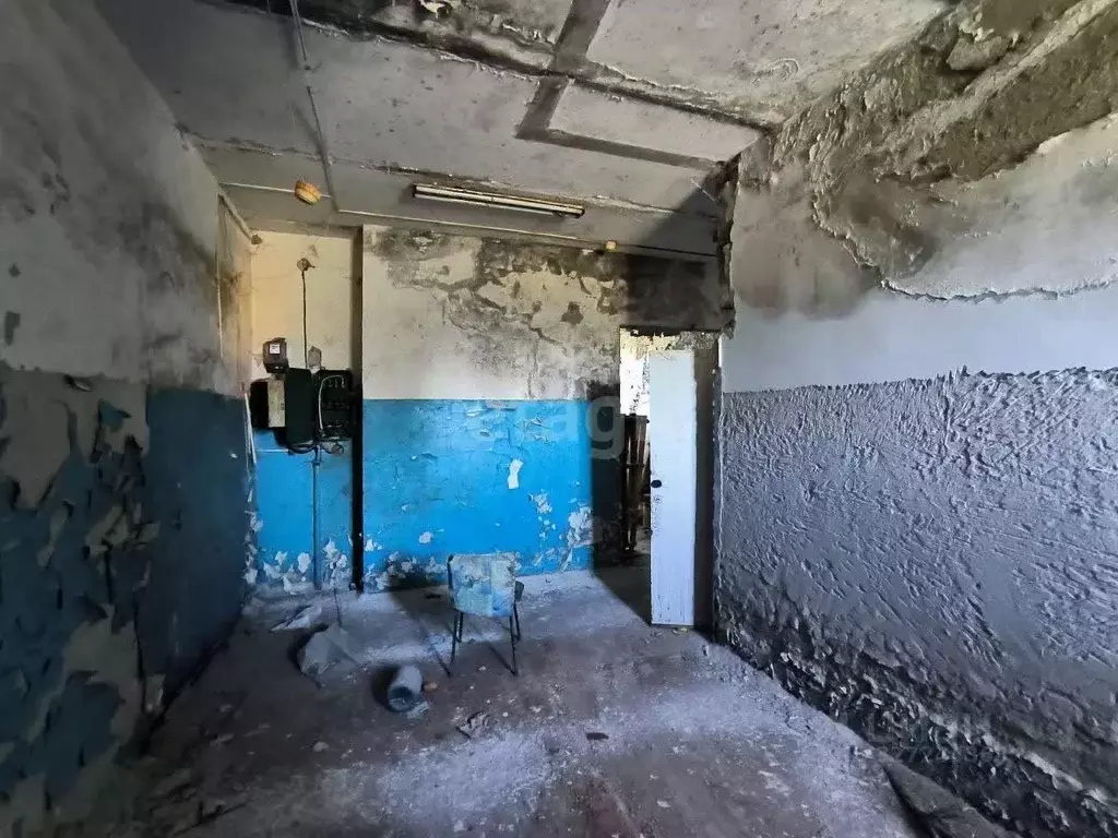 Помещение свободного назначения в Ямало-Ненецкий АО, Тарко-Сале ... - Фото 1