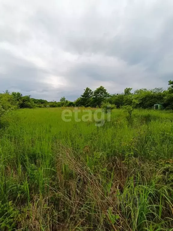 Участок в Адыгея, Майкопский район, Победенское с/пос, Шаумян хут.  ... - Фото 1