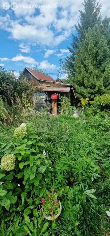 Дом в Новосибирск, садовое товарищество Заря (30 м) - Фото 0