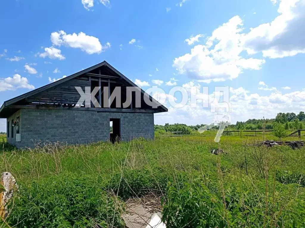 Дом в Новосибирская область, Колыванский район, д. Большой Оеш ул. ... - Фото 1