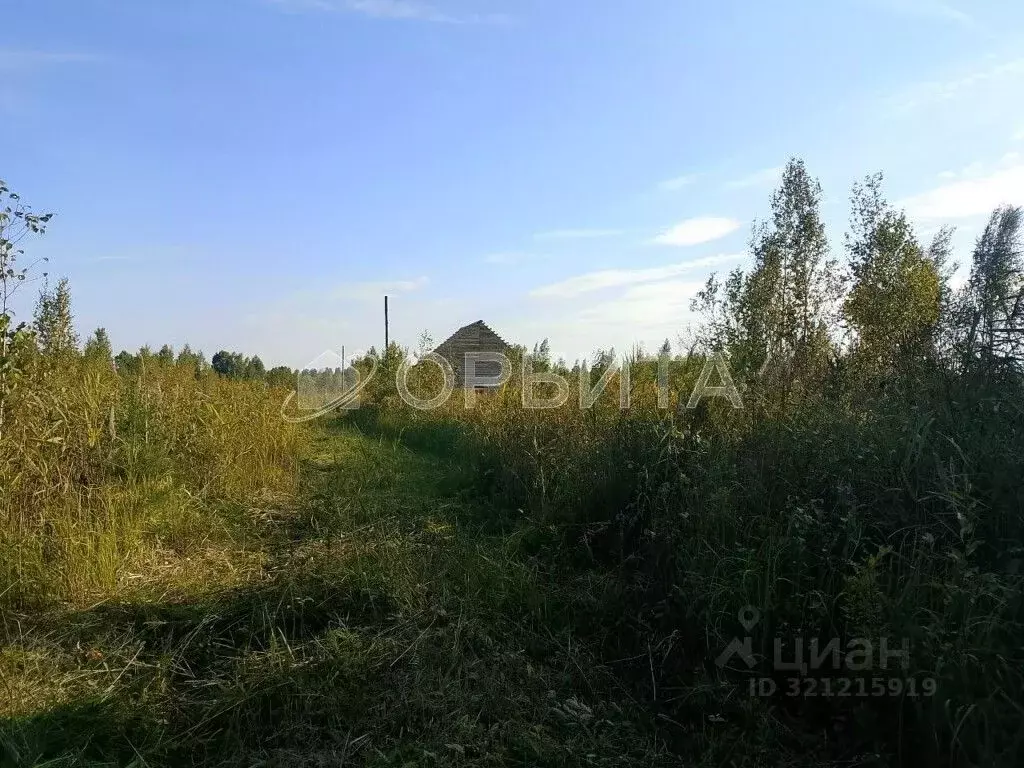 Дом в Тюменская область, Нижнетавдинский район, Сочинские СНТ 17-я ... - Фото 2