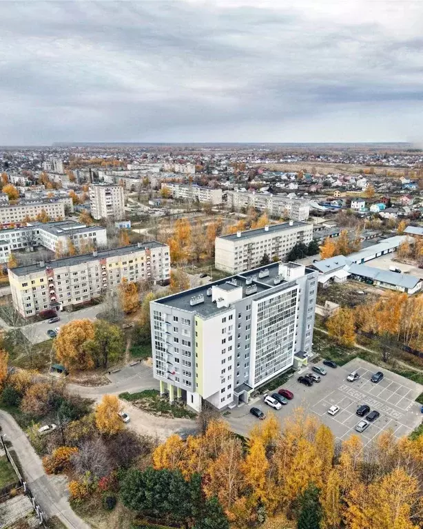 Студия Нижегородская область, Бор 3-й мкр, ул. 3-й Микрорайон, 5 (24.0 ... - Фото 0