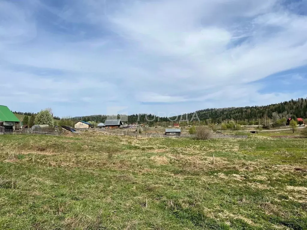 Участок в Алтай, Чойский район, с. Киска Дружная ул., 9 (24.0 сот.) - Фото 2