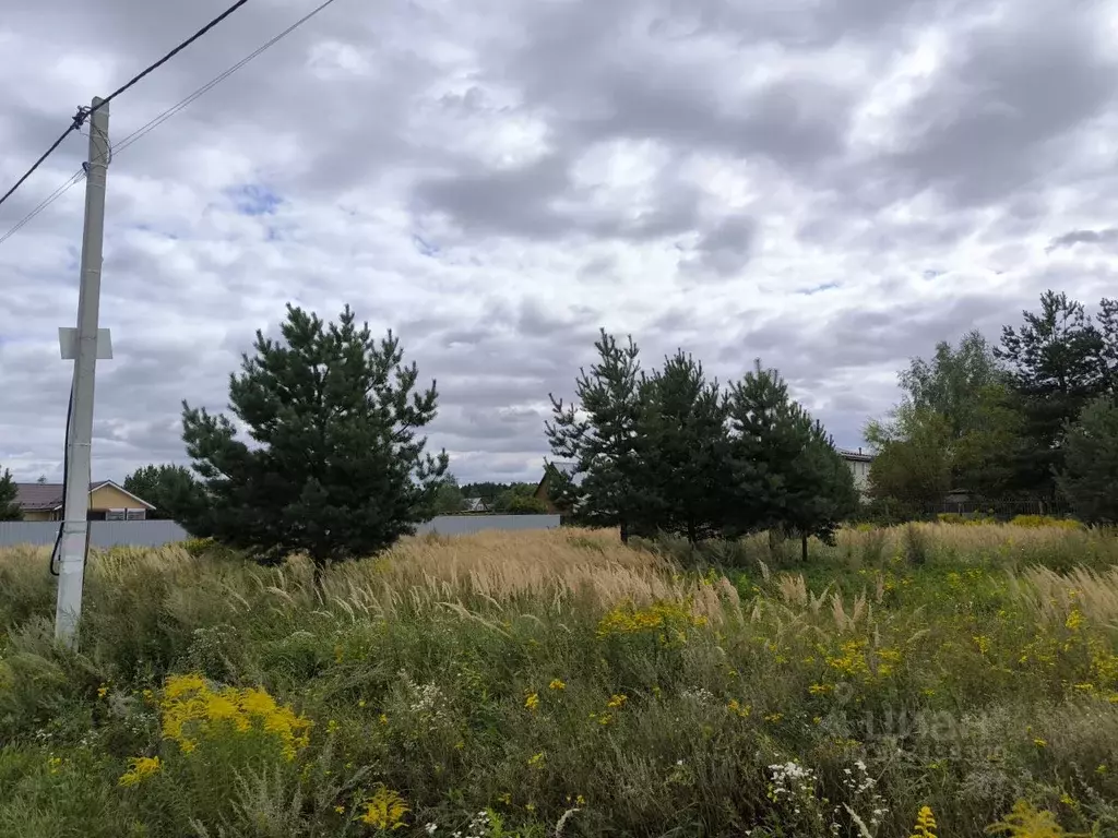 Участок в Московская область, Раменский муниципальный округ, с. Речицы ... - Фото 2