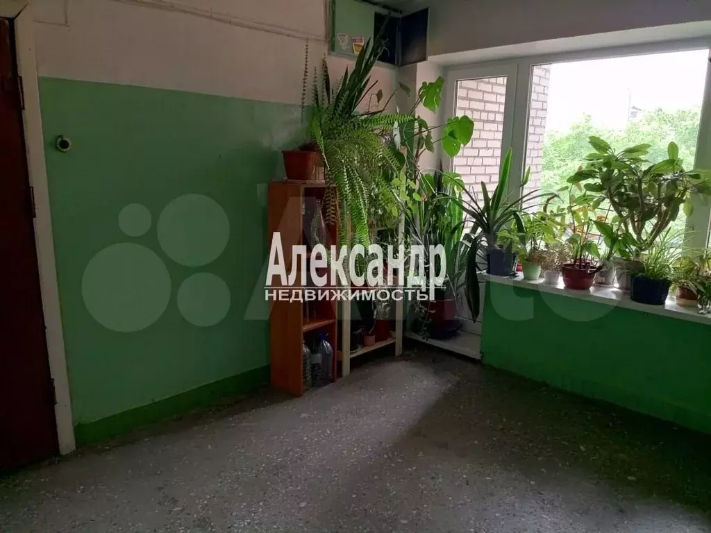 1-к. квартира, 33,5 м, 5/9 эт. - Фото 1