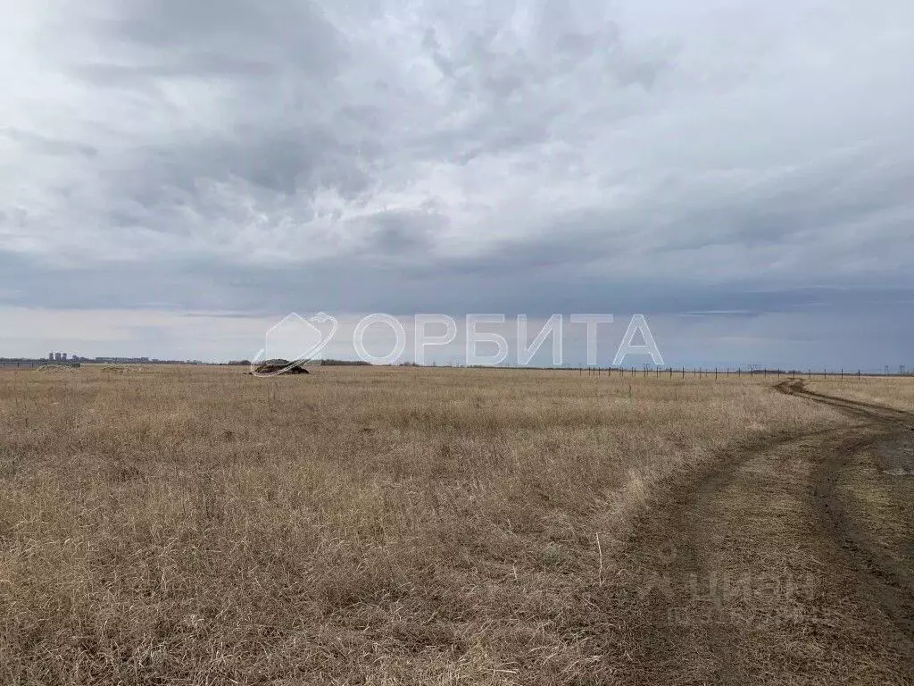 Участок в Тюменская область, Тюменский район Тобольский тракт, 21-й ... - Фото 1