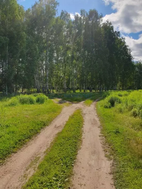 Участок в Нижегородская область, Бор муниципальный округ, д. Ежово  ... - Фото 1