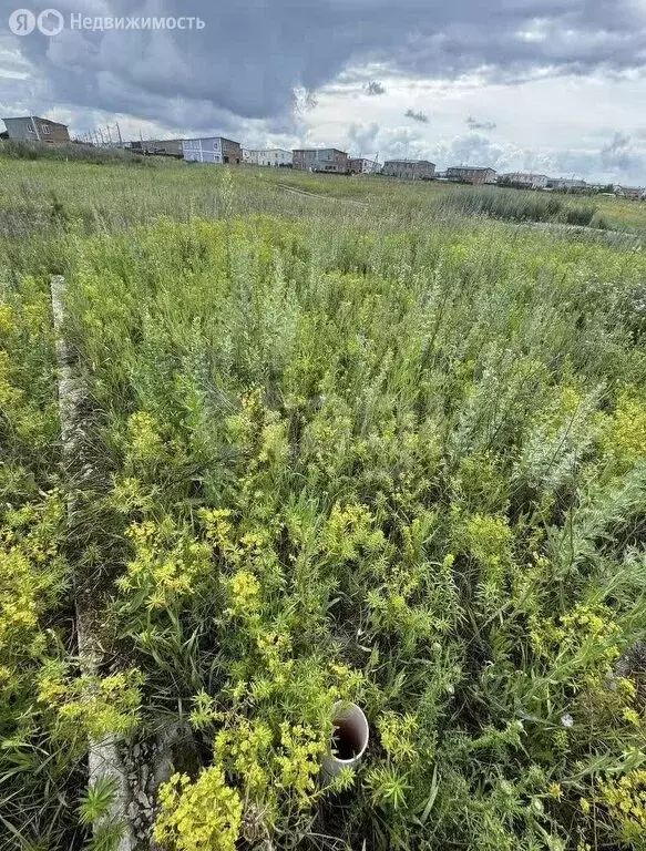 Участок в Ягодное, 11-й Светлый переулок (10 м) - Фото 2