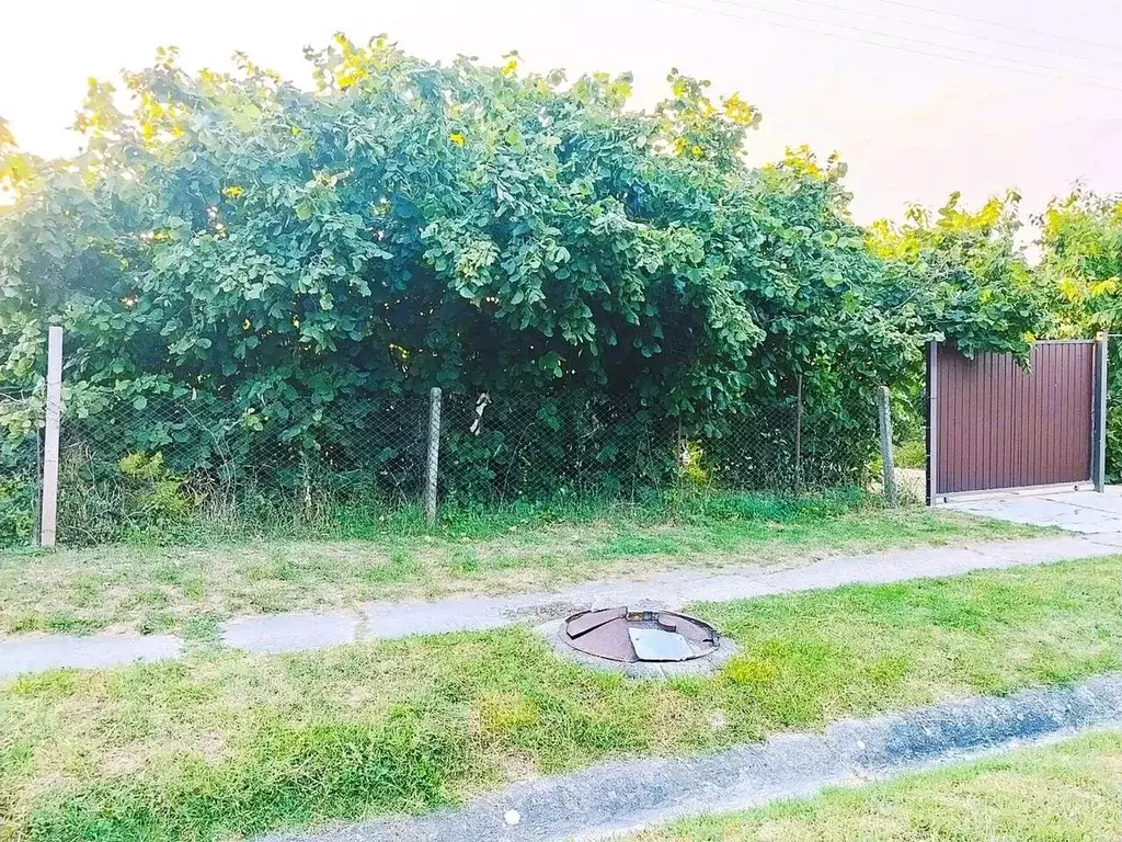 Дом в Крым, Белогорский район, с. Земляничное ул. Лесная (56 м) - Фото 1